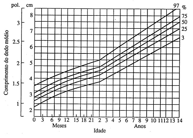 COMPRIMENTO DEDO MÉDIO