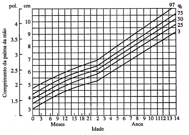 COMPRIMENTO DA PALMA DA MÃO