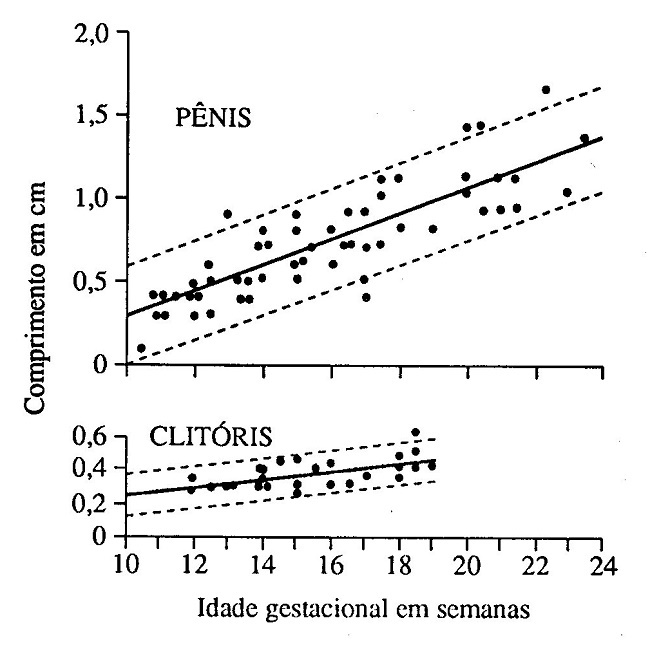 CRESCIMENTO PENIANO E CLITORIDIANO INTRAUTERINO