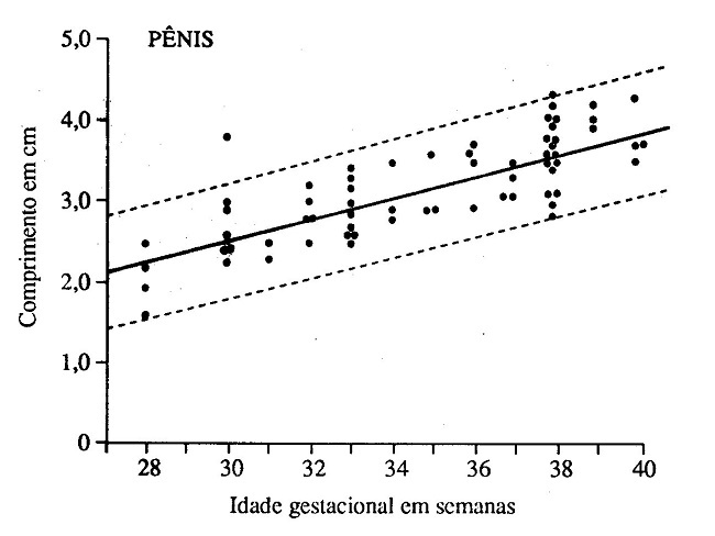 CRESCIMENTO PENIANO INTRAUTERINO