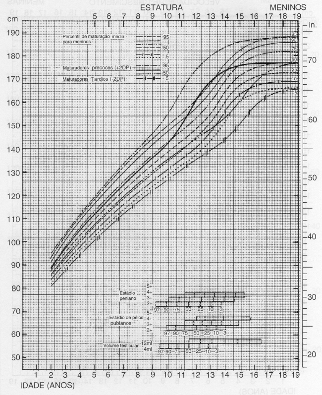 CURVA DE CRESCIMENTO ESTATURAL - TANNER & DAVIES - MASCULINO