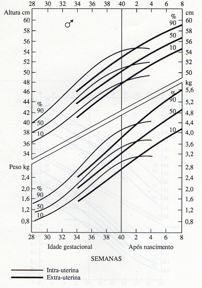 CURVA DE CRESCIMENTO PERINATAL MASCULINO