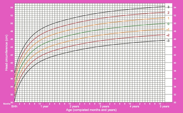 PERÍMETRO CEFÁLICO - OMS - FEM - 0 A 5 ANOS