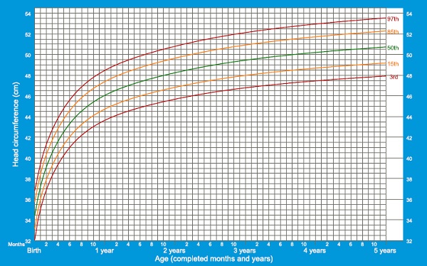 PERÍMETRO CEFÁLICO - OMS - MASC - 5 A 19 ANOS