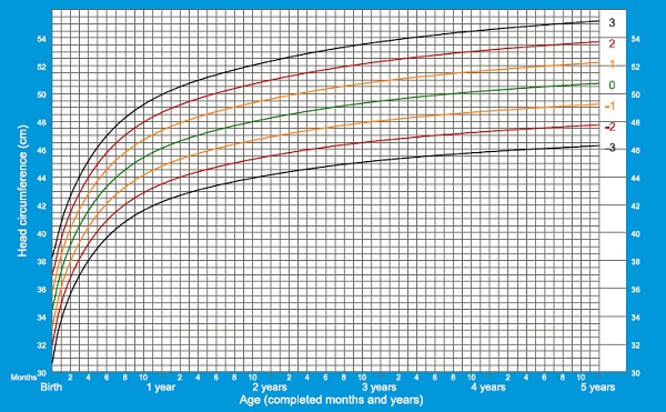PERÍMETRO CEFÁLICO - OMS - MASC - 0 A 5 ANOS